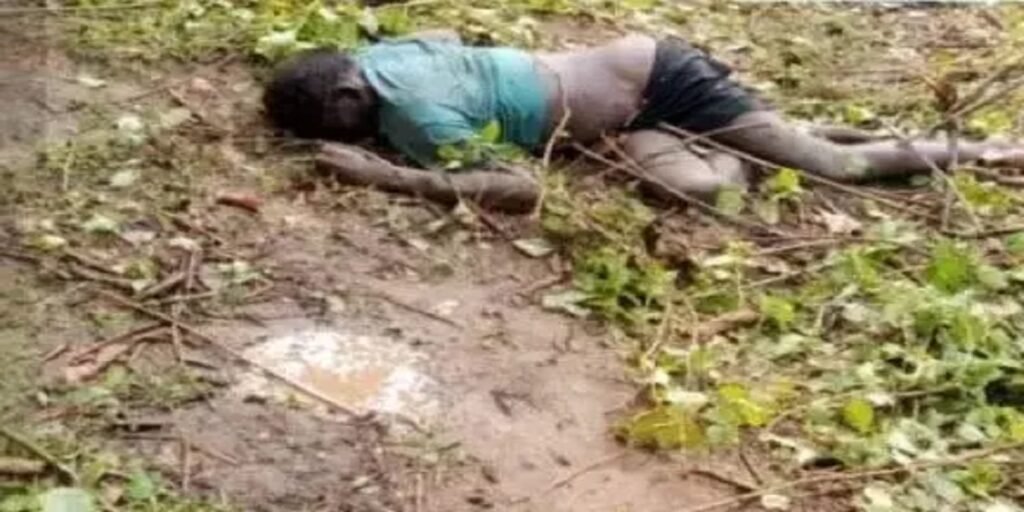 CG NEWS : काम से लौट रहे ग्रामीण पर लोनर हाथी का हमला, मौके पर दर्दनाक मौत