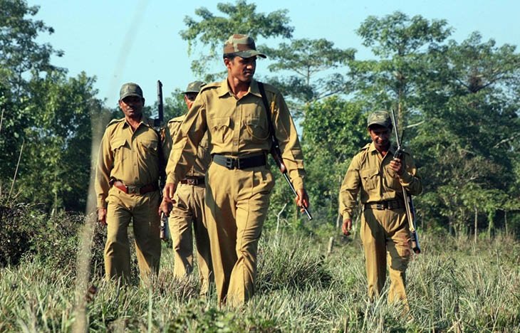 CG Forest Guard Recruitment: छत्तीसगढ़ वन विभाग में 1484 वनरक्षक पदों पर भर्ती, 13 दिसंबर को होगी लिखित परीक्षा