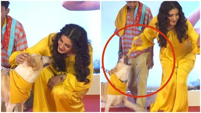 Ohh My Dog Screening: रवीना टंडन पर अचानक झपटा डॉगी, एक्ट्रेस ने बिना घबराए ऐसे किया हालात को कंट्रोल